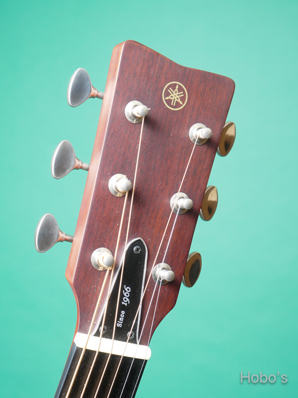YAMAHA FGX5 1