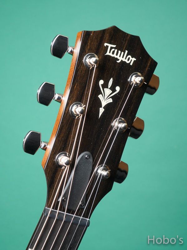 TAYLOR 514ce V-Class 1