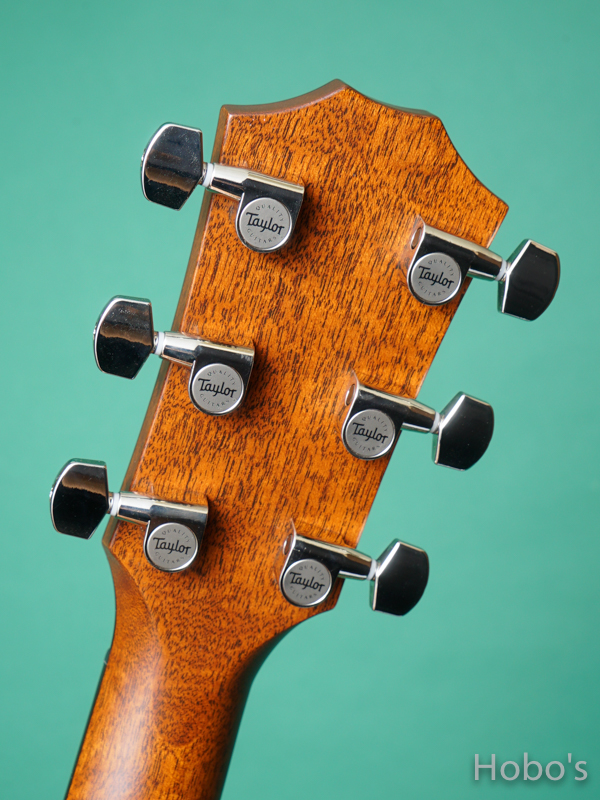 TAYLOR 514ce V-Class 2