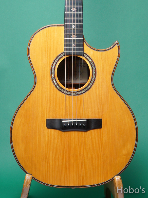 Charis Acoustic (Bill Wise) SJ Cutaway "Brazilian Rosewood" 5