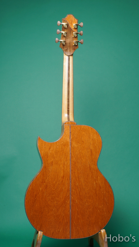 Charis Acoustic (Bill Wise) Air "Kenny Loggins Model" BACK