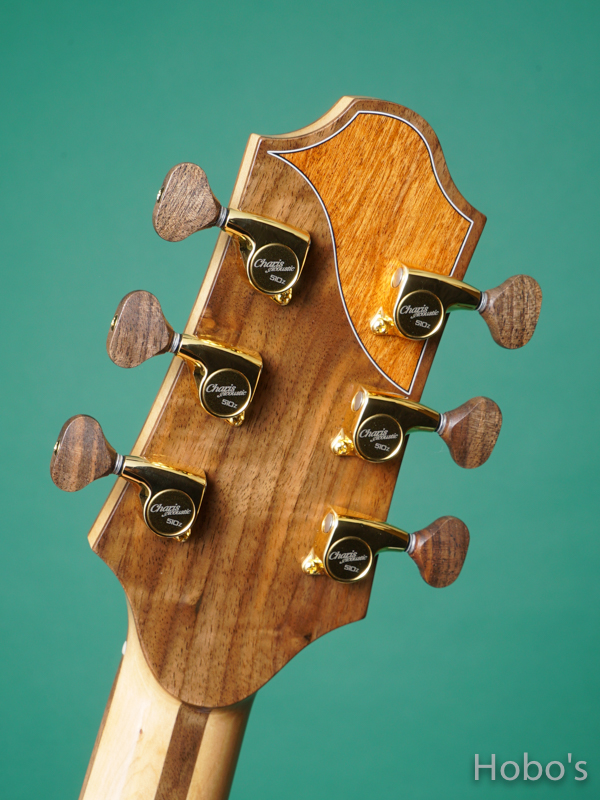 Charis Acoustic (Bill Wise) Air "Kenny Loggins Model" 2