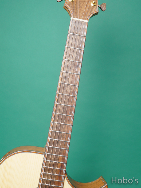 Charis Acoustic (Bill Wise) Air "Kenny Loggins Model" 3