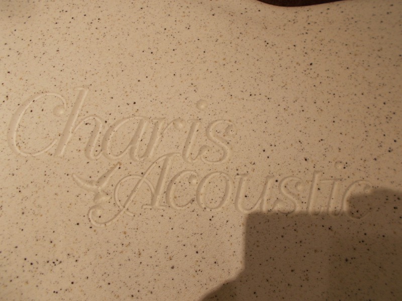 Charis Acoustic (Bill Wise) Air "Kenny Loggins Model" SPECIAL1