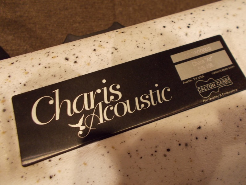 Charis Acoustic (Bill Wise) Air "Kenny Loggins Model" SPECIAL2