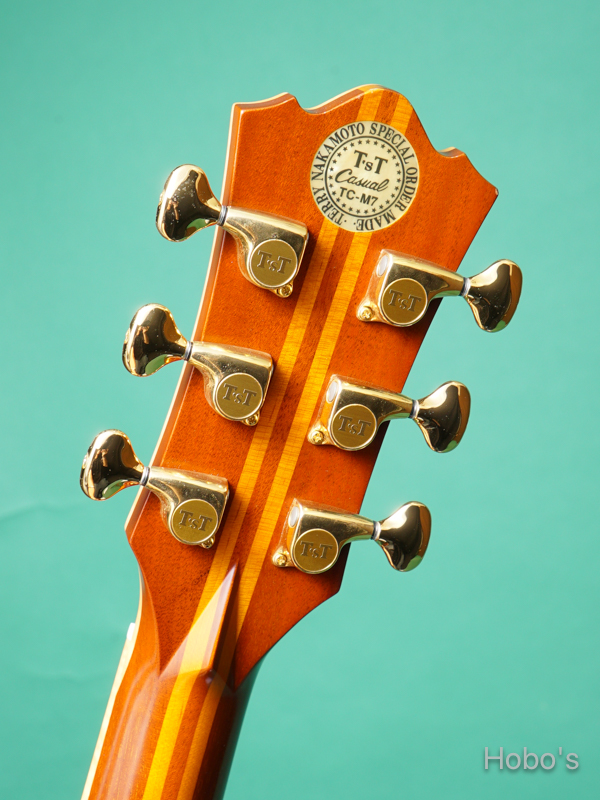 Terry's Casual TC-M7 Star 2