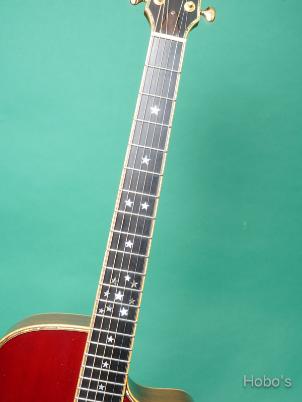 Terry's Casual TC-M7 Star 3