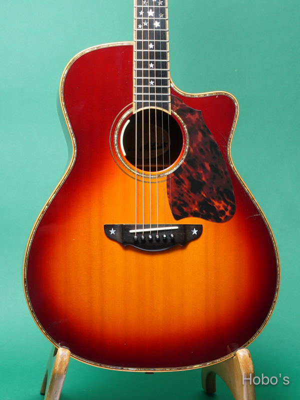 Terry's Casual TC-M7 Star 5