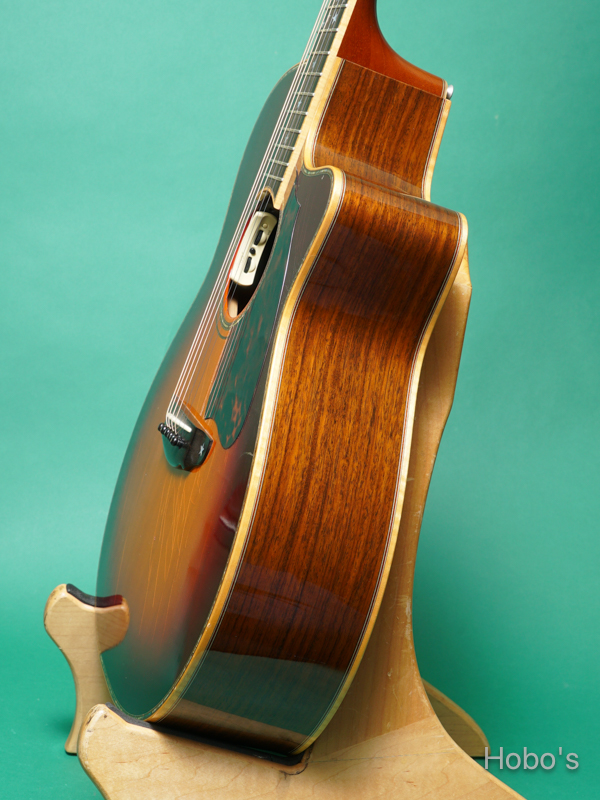 Terry's Casual TC-M7 Star 8