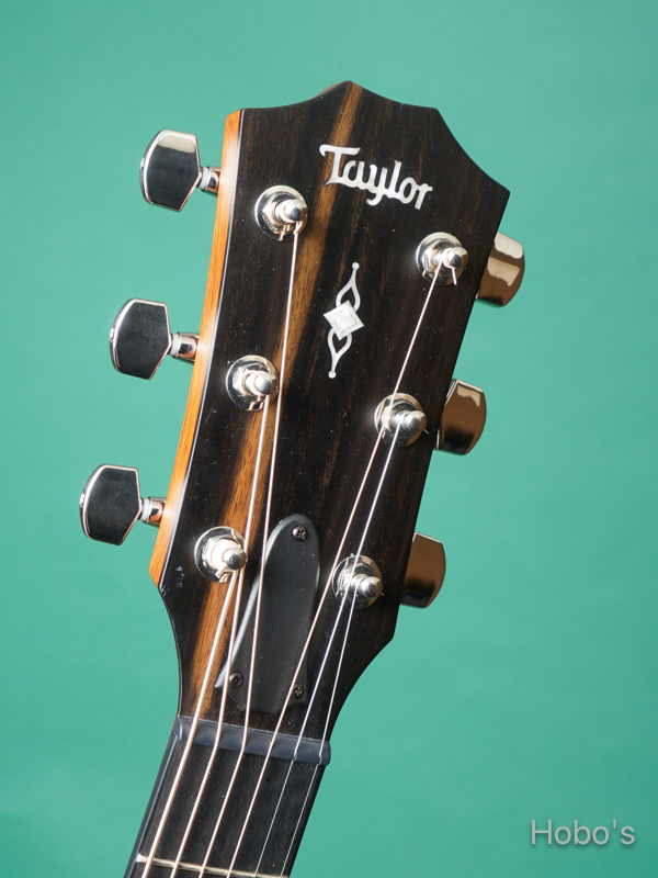 TAYLOR 314ce V-Class 1