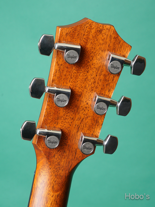 TAYLOR 314ce V-Class 2
