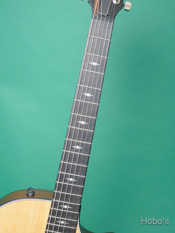 TAYLOR 314ce V-Class 3