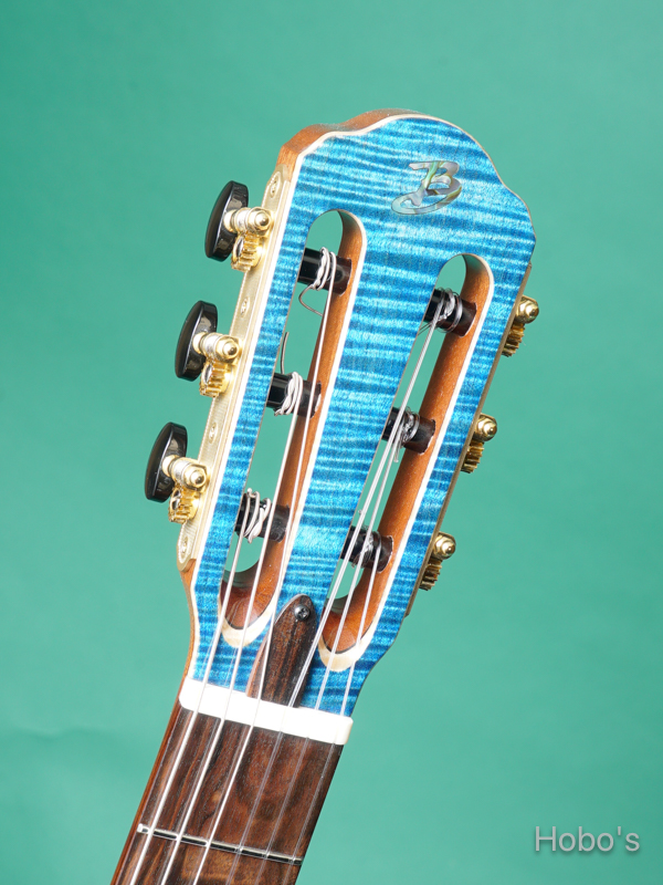 Buscarino Guitars (John Buscarino) The Starlight Nylon Blue "坂崎幸之助セレクトモデル" 1
