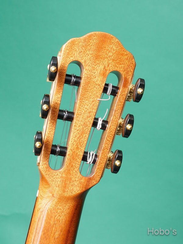 Buscarino Guitars (John Buscarino) The Starlight Nylon Blue "坂崎幸之助セレクトモデル" 2