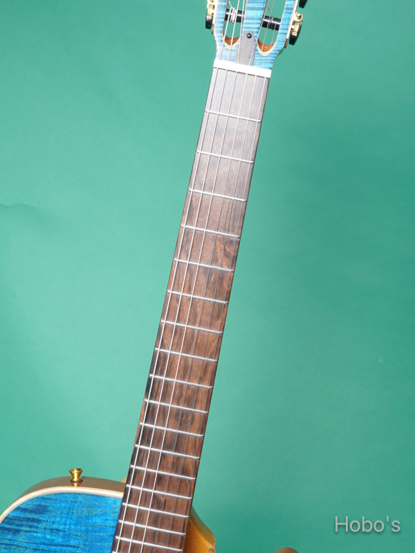 Buscarino Guitars (John Buscarino) The Starlight Nylon Blue "坂崎幸之助セレクトモデル" 3