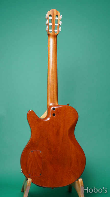 Buscarino Guitars (John Buscarino) The Starlight Nylon  BACK