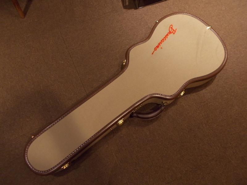 Buscarino Guitars (John Buscarino) The Starlight Nylon  CASE