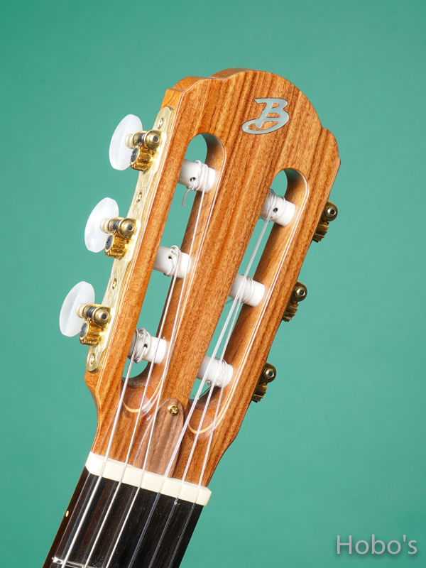 Buscarino Guitars (John Buscarino) The Starlight Nylon  1