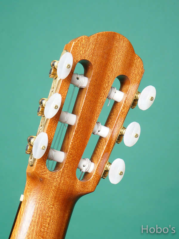 Buscarino Guitars (John Buscarino) The Starlight Nylon  2