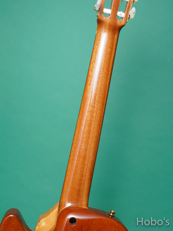 Buscarino Guitars (John Buscarino) The Starlight Nylon  4