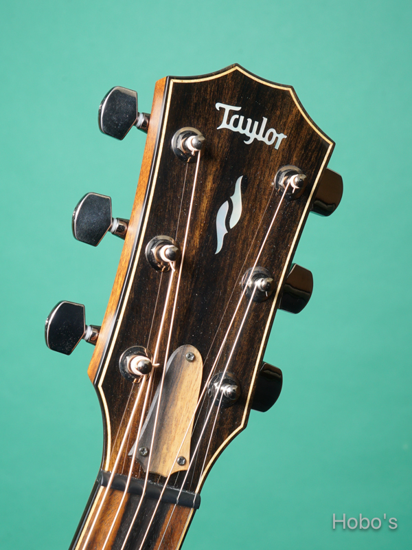 TAYLOR 814ce V-Class 1