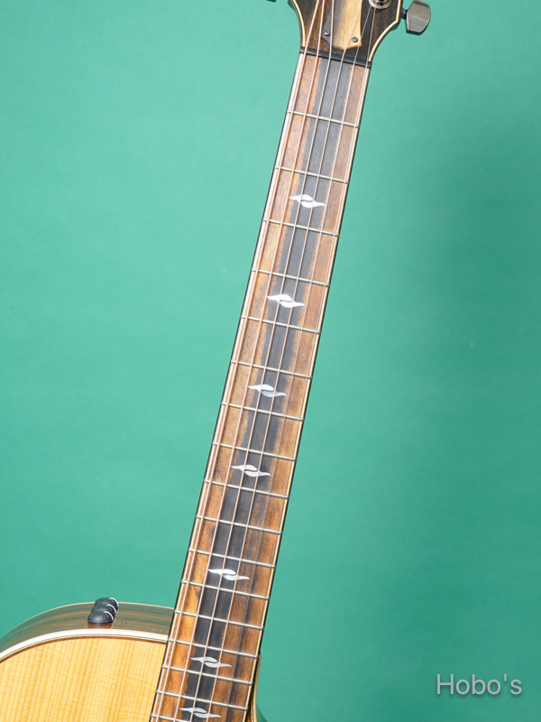 TAYLOR 814ce V-Class 3