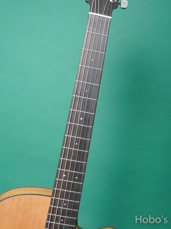 FURCH GUITARS Blue Deluxe Gc-CM 3