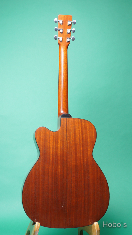 SEAGULL (塩崎 雅亮) M-50 Cutaway BACK