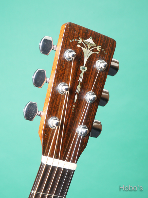 SEAGULL (塩崎 雅亮) M-50 Cutaway 1