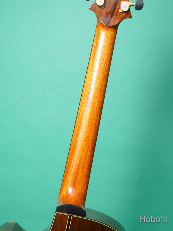 Water Road (増田 明夫) D-Arte Cutaway "German / Brazilian Rosewood" 4