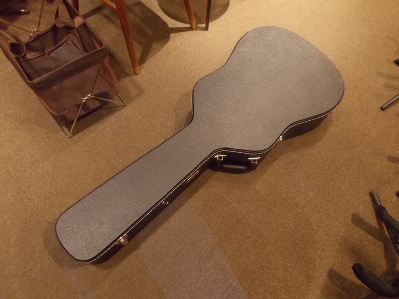 IRIS GUITAR COMPANY The DF Model CASE