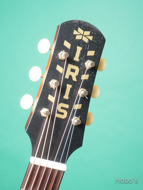 IRIS GUITAR COMPANY The DF Model 1