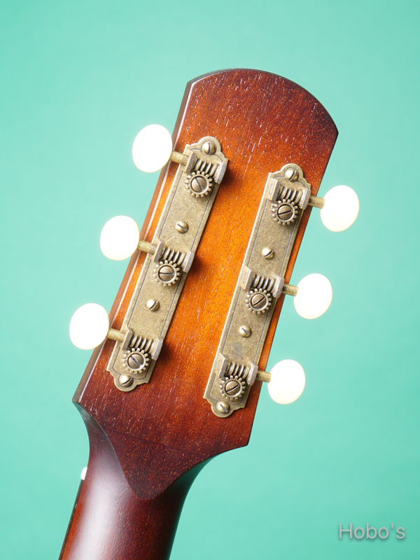 IRIS GUITAR COMPANY The DF Model 2