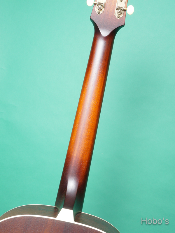 IRIS GUITAR COMPANY The DF Model 4
