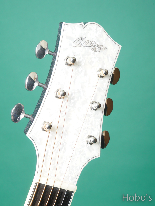 COLLINGS C-10 DX Dog Hair "John Sebastian Selected Model" 1