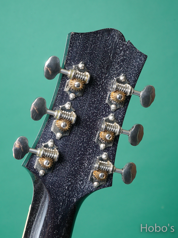 COLLINGS C-10 DX Dog Hair "John Sebastian Selected Model" 2