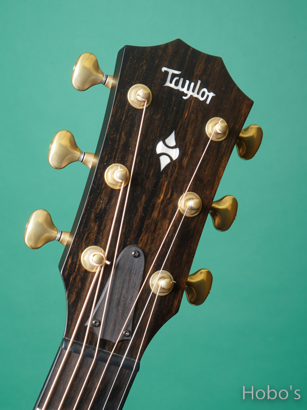 TAYLOR Builder's Edition 324ce V-Class 1