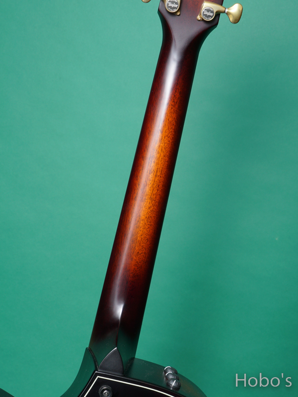 TAYLOR Builder's Edition 324ce V-Class 4