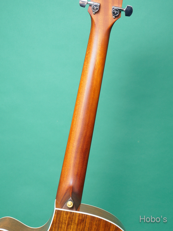 AYERS SJC-O ESN OTS JP CUSTOM  4