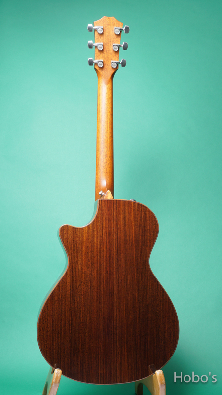 TAYLOR GC Custom V-Class "Adirondack Top" BACK