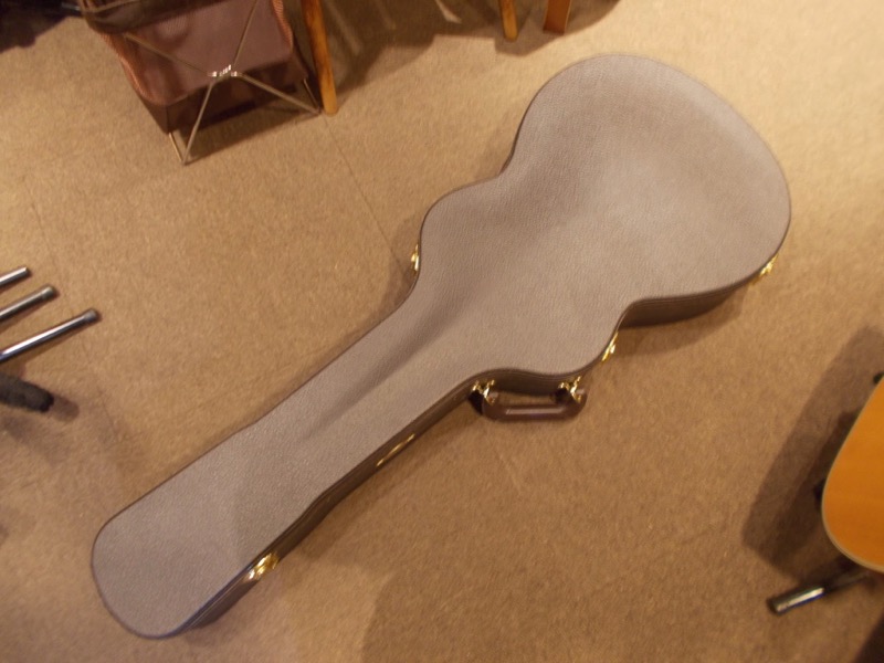 TAYLOR GC Custom V-Class "Adirondack Top" CASE