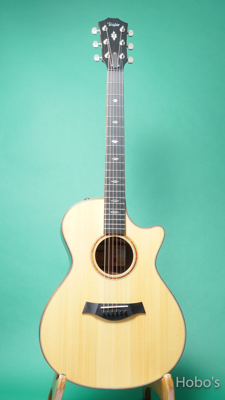 TAYLOR GC Custom V-Class "Adirondack Top"
