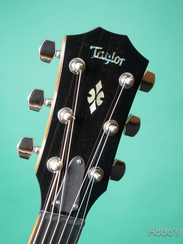 TAYLOR GC Custom V-Class "Adirondack Top" 1