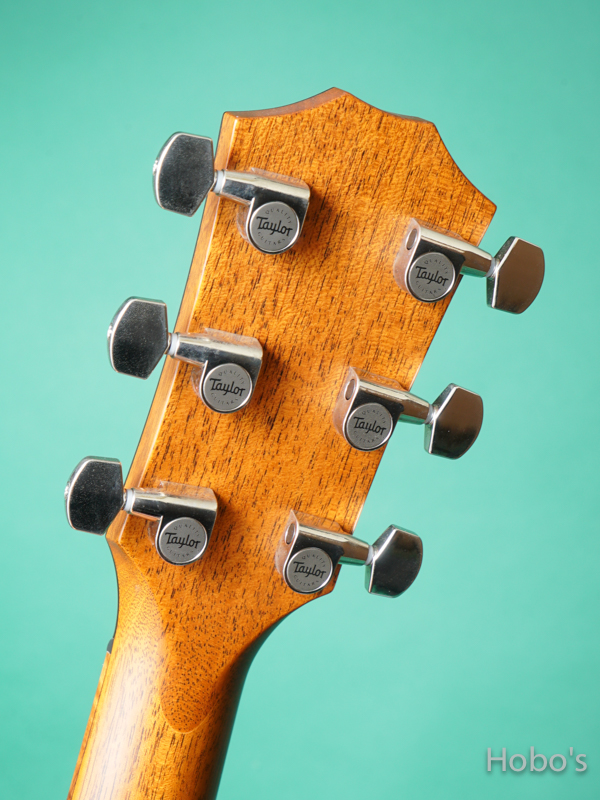 TAYLOR GC Custom V-Class "Adirondack Top" 2
