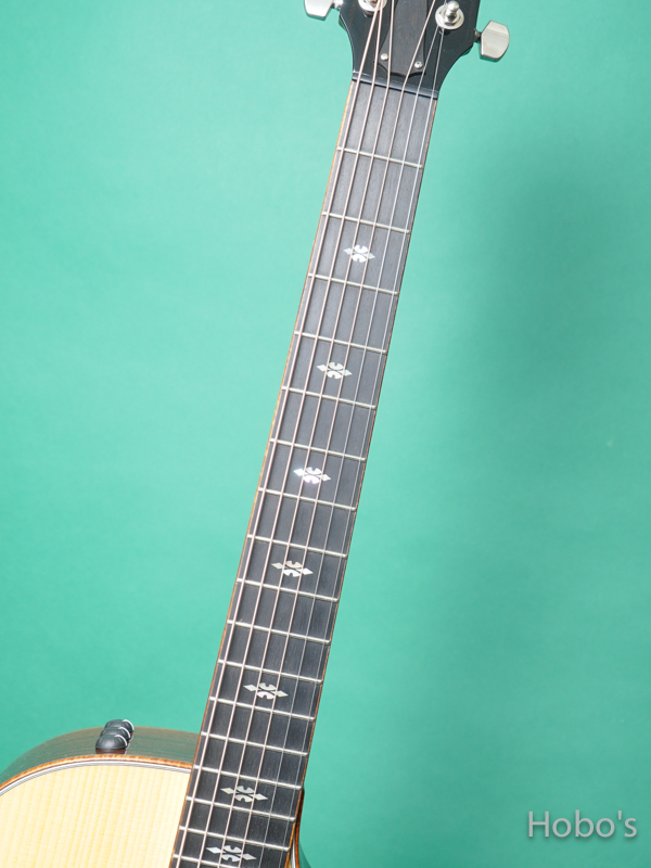 TAYLOR GC Custom V-Class "Adirondack Top" 3