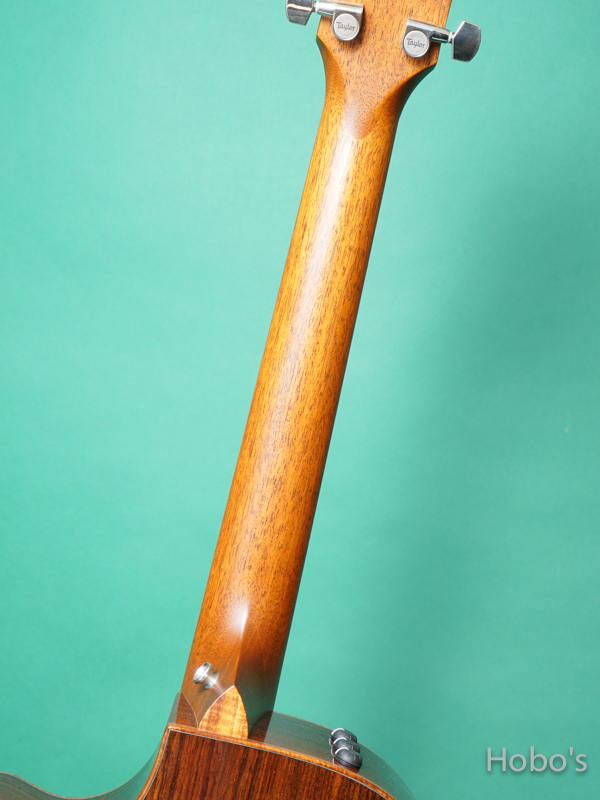 TAYLOR GC Custom V-Class "Adirondack Top" 4