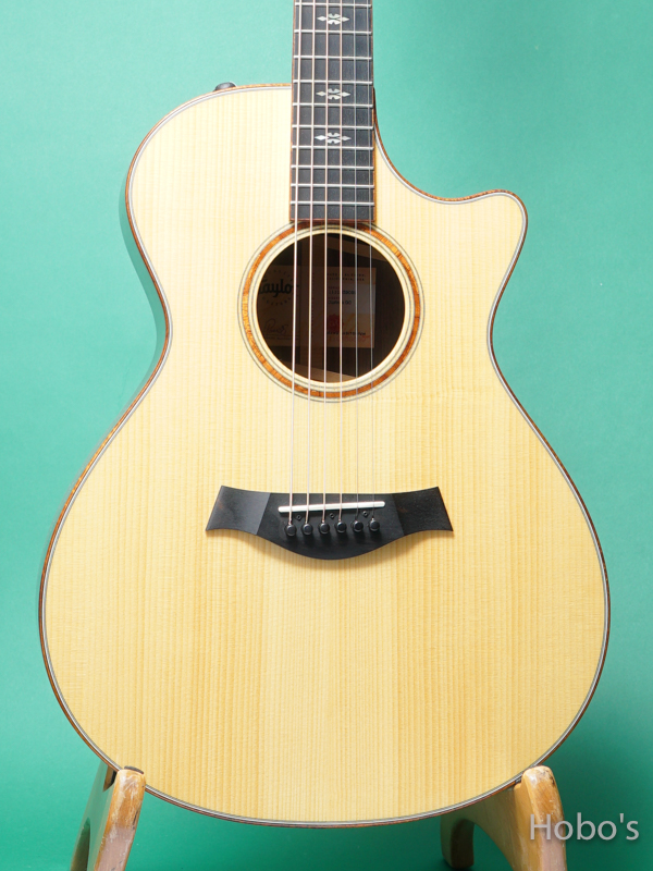TAYLOR GC Custom V-Class "Adirondack Top" 5