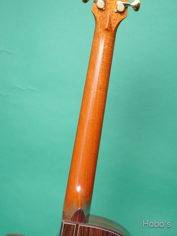 Terry's Terry / Premium Terry (テリー中本) PTJ-100C MS さだまさし&グレープ 50th Anniversary  4