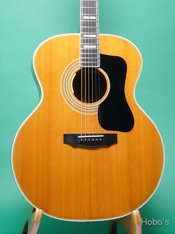 GUILD F-50R 5