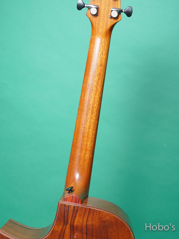 Yokoyama Guitar (横山 正) AF-GMR "German / Madagascar Rosewood" 4